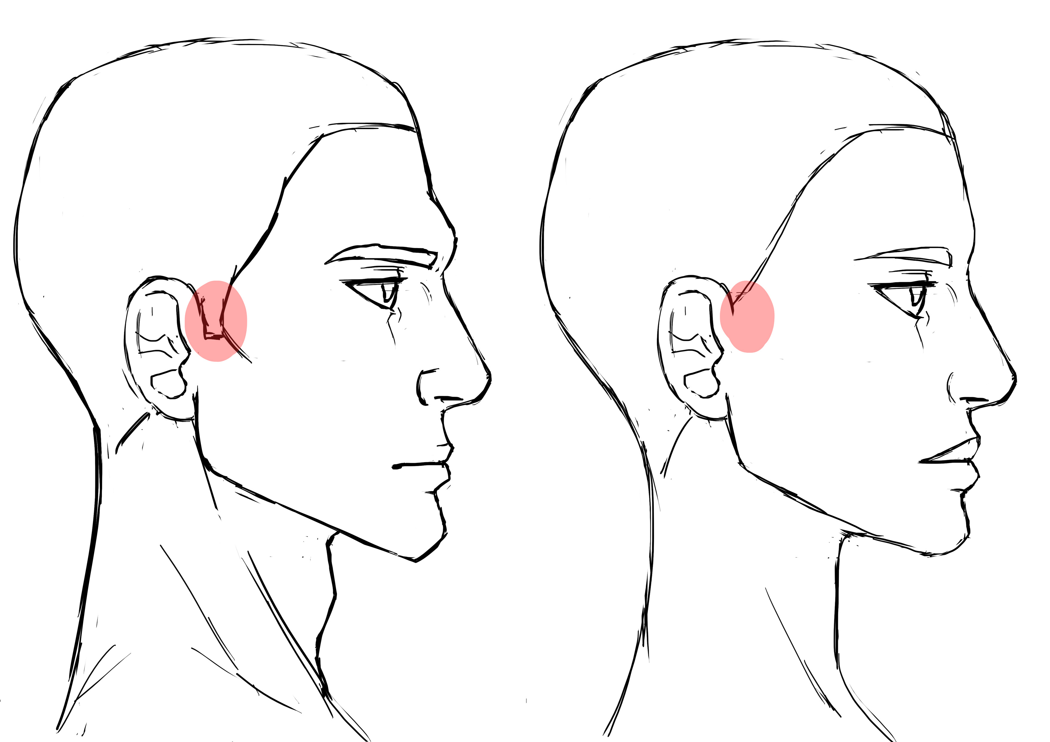 dessiner la délimitation des cheveux pour les visages d’homme et de femme