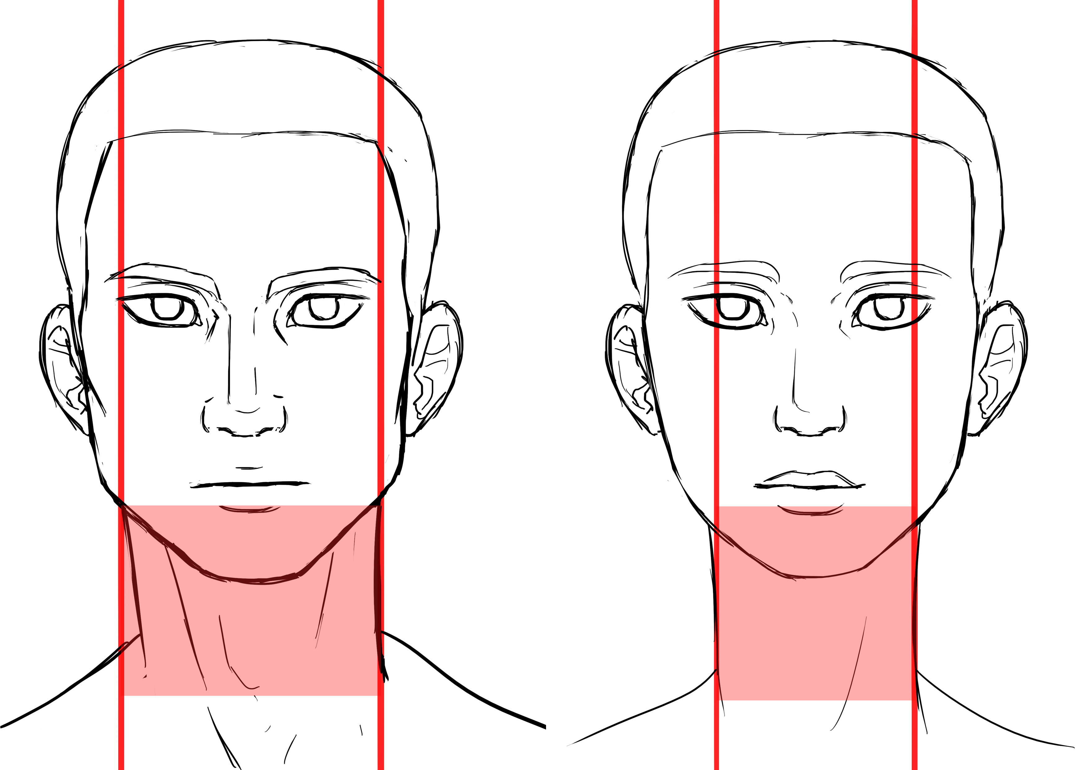 différences du cou de face dans le dessin de visage d’homme et de femme