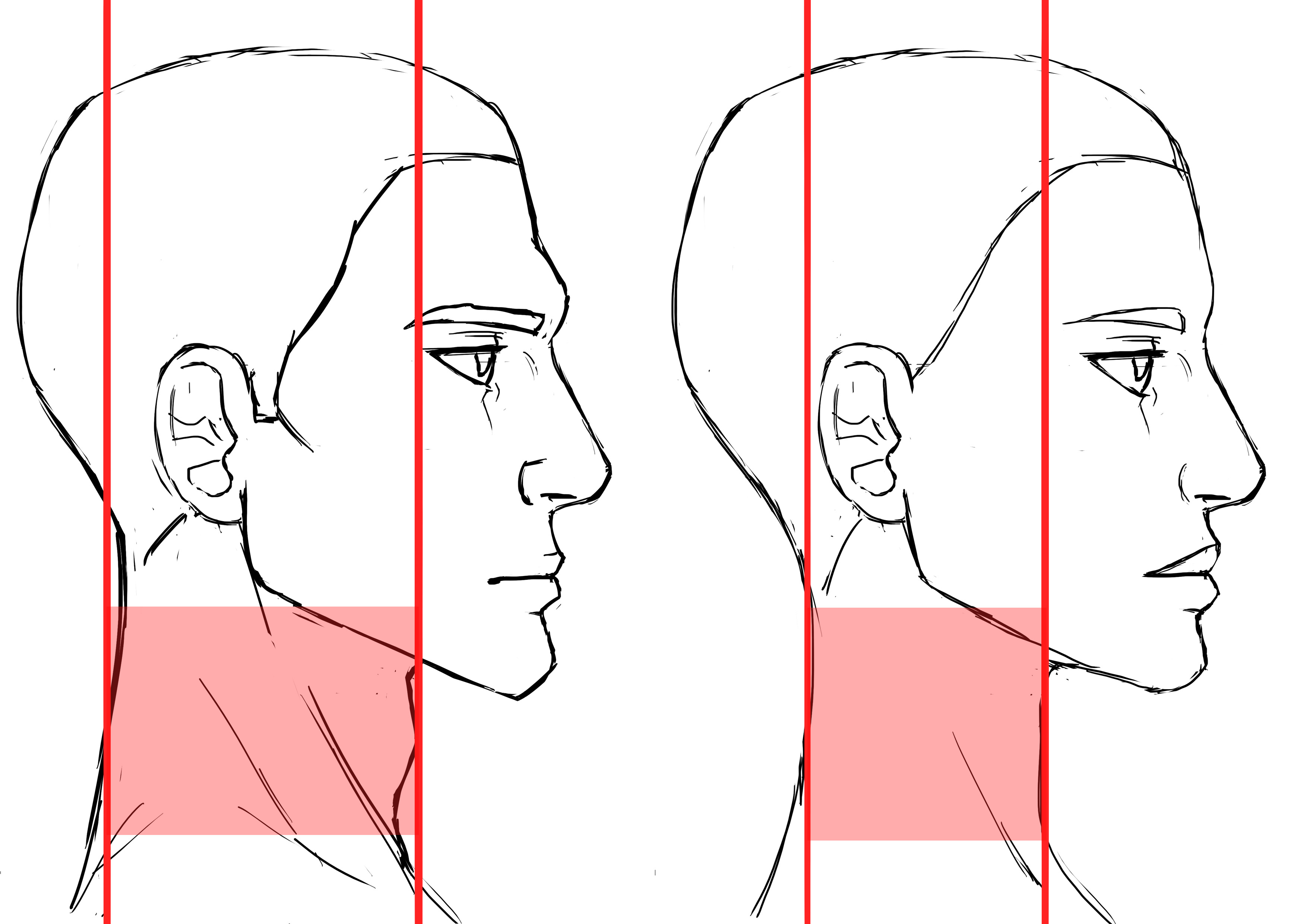 différences du cou de profil dans le dessin de visage d’homme et de femme