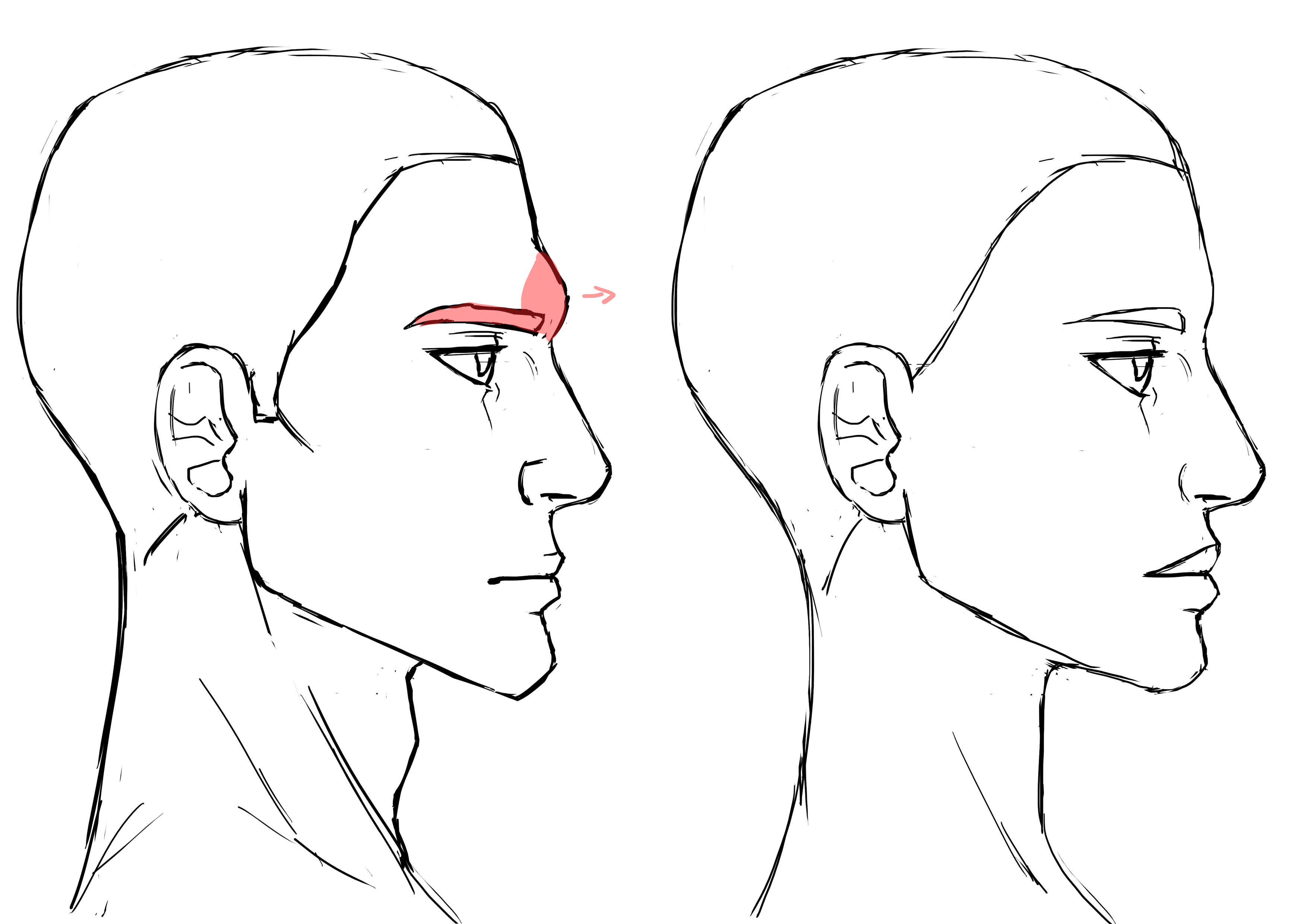 différences des yeux de profil dans le dessin de visage d’homme et de femme