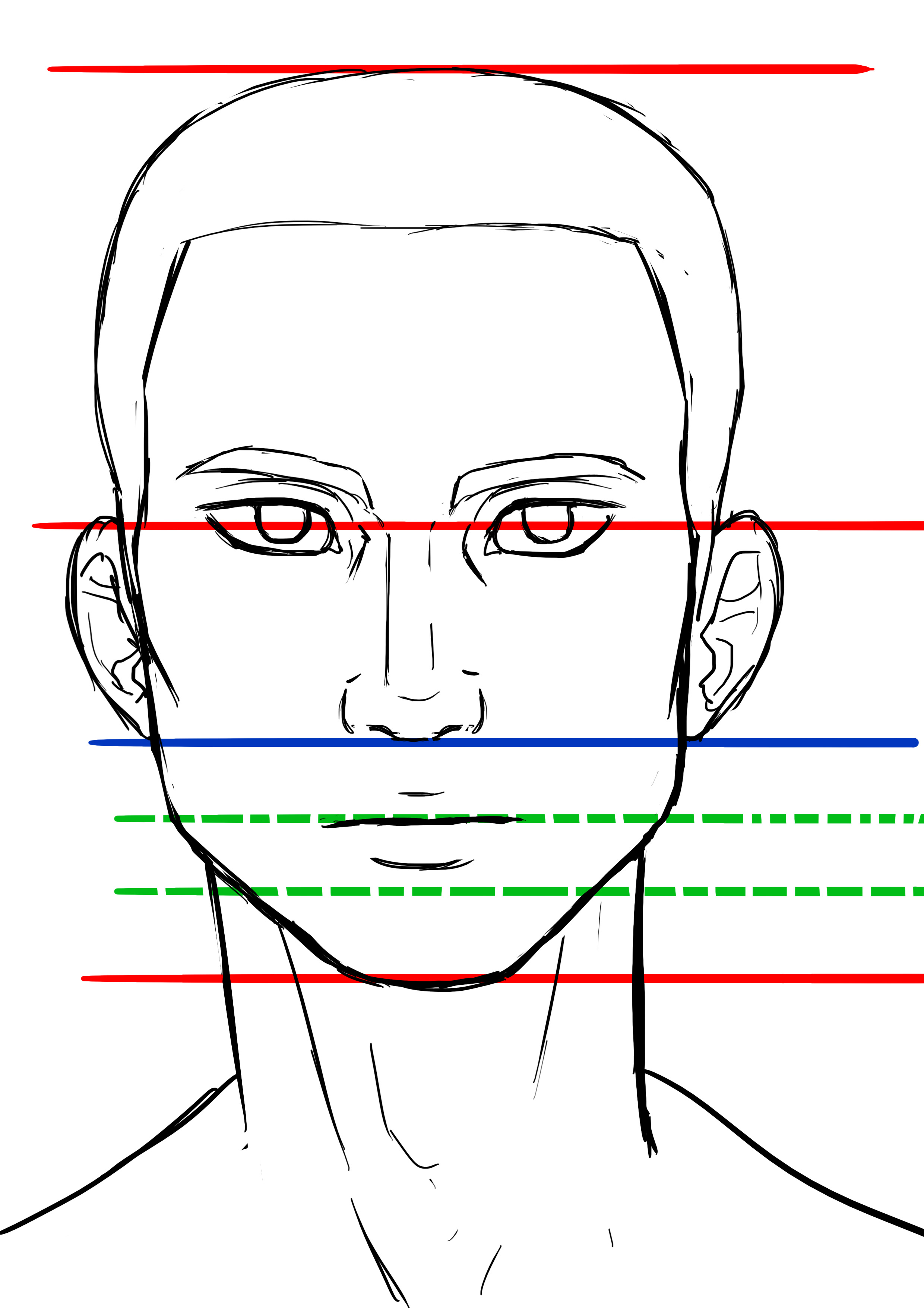proportions du visage de l’homme de face