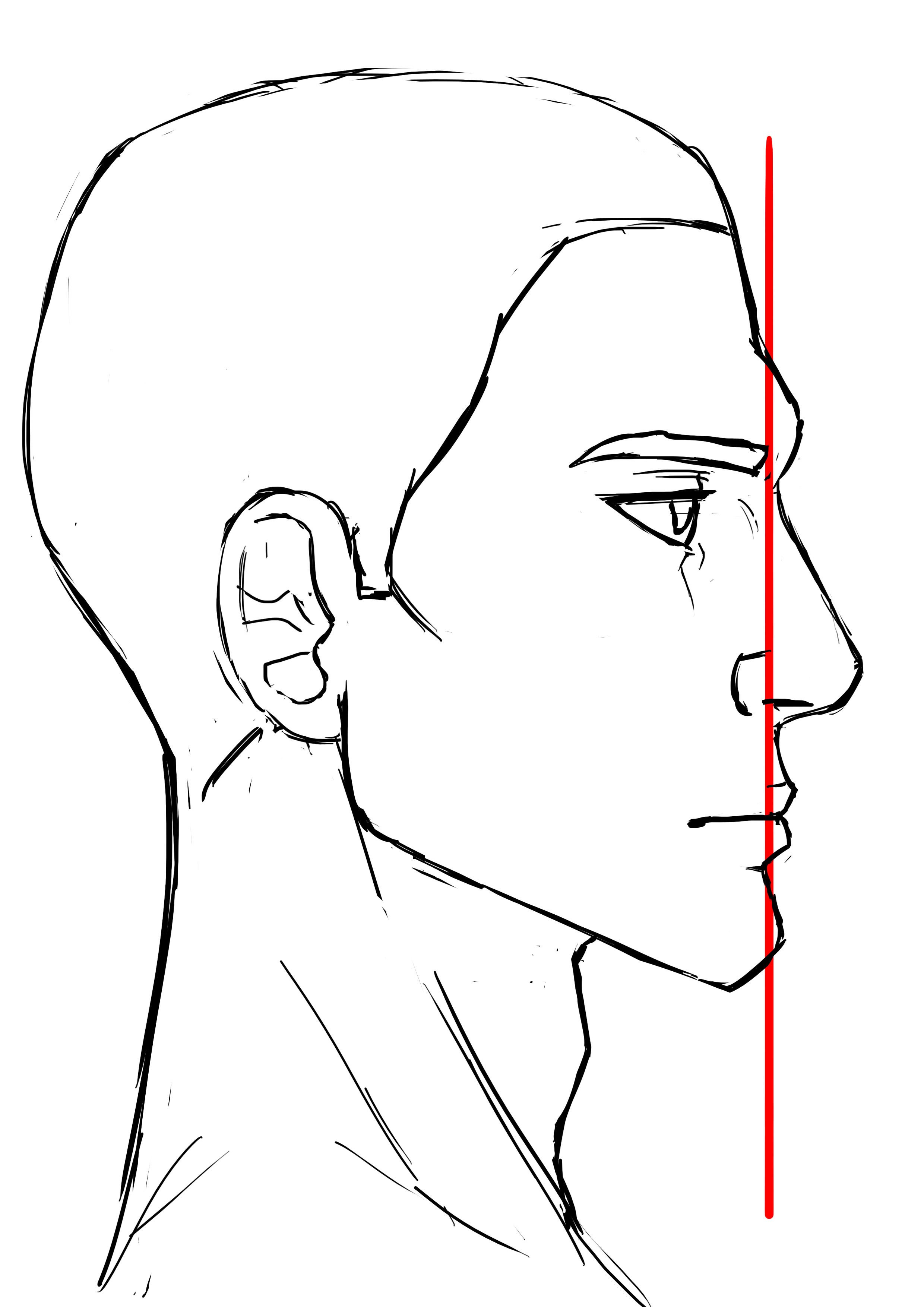 proportions du visage de l’homme de profil 2