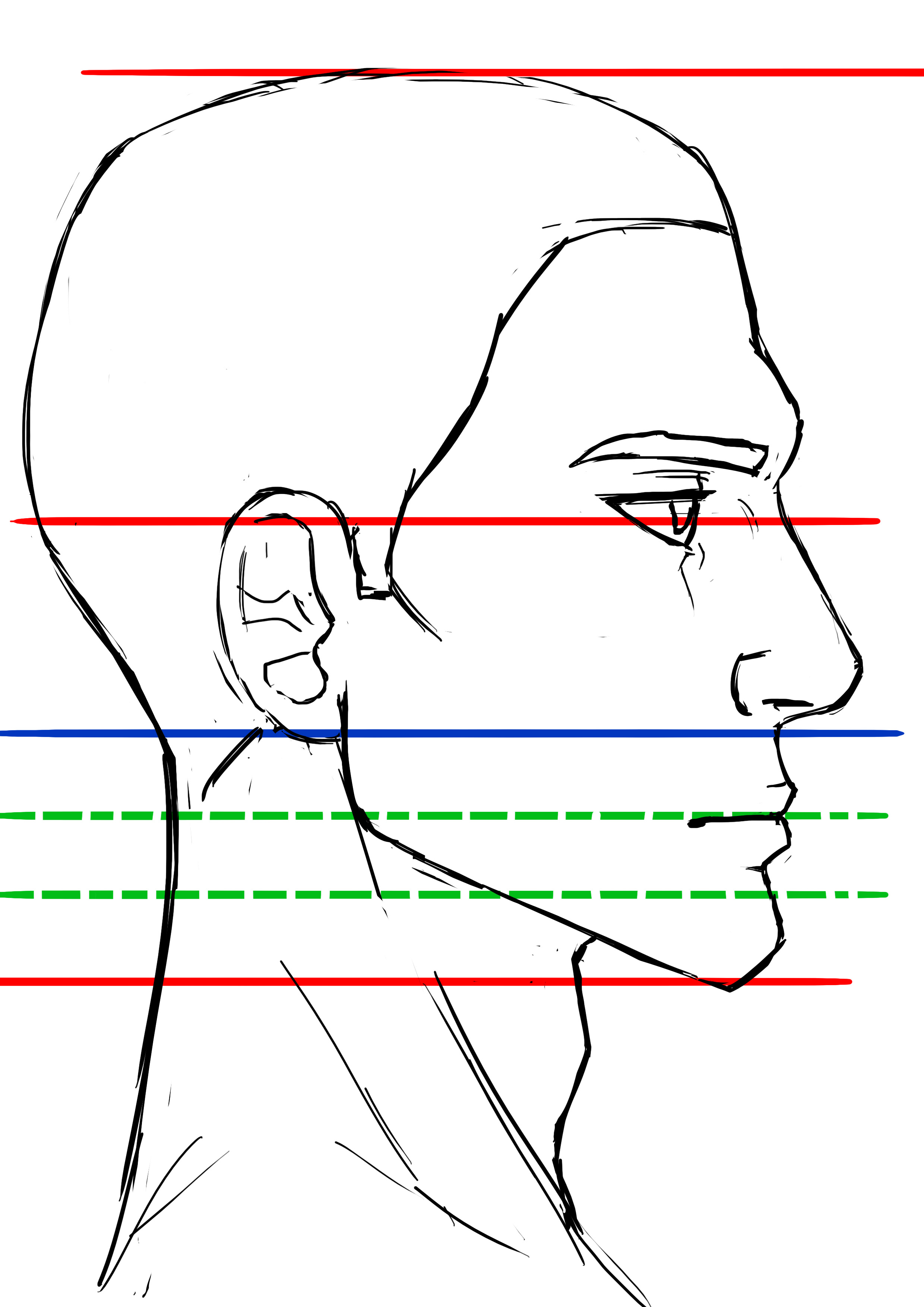 proportions du visage de l’homme de profil