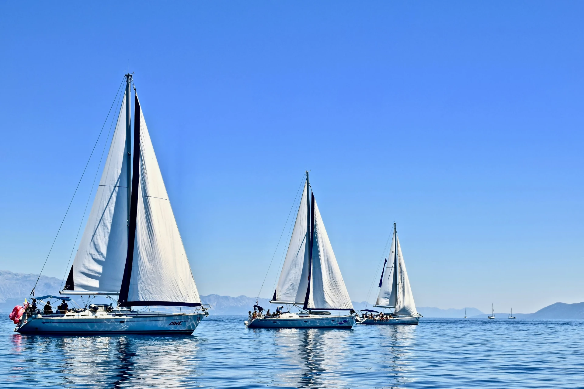 sailboats photo