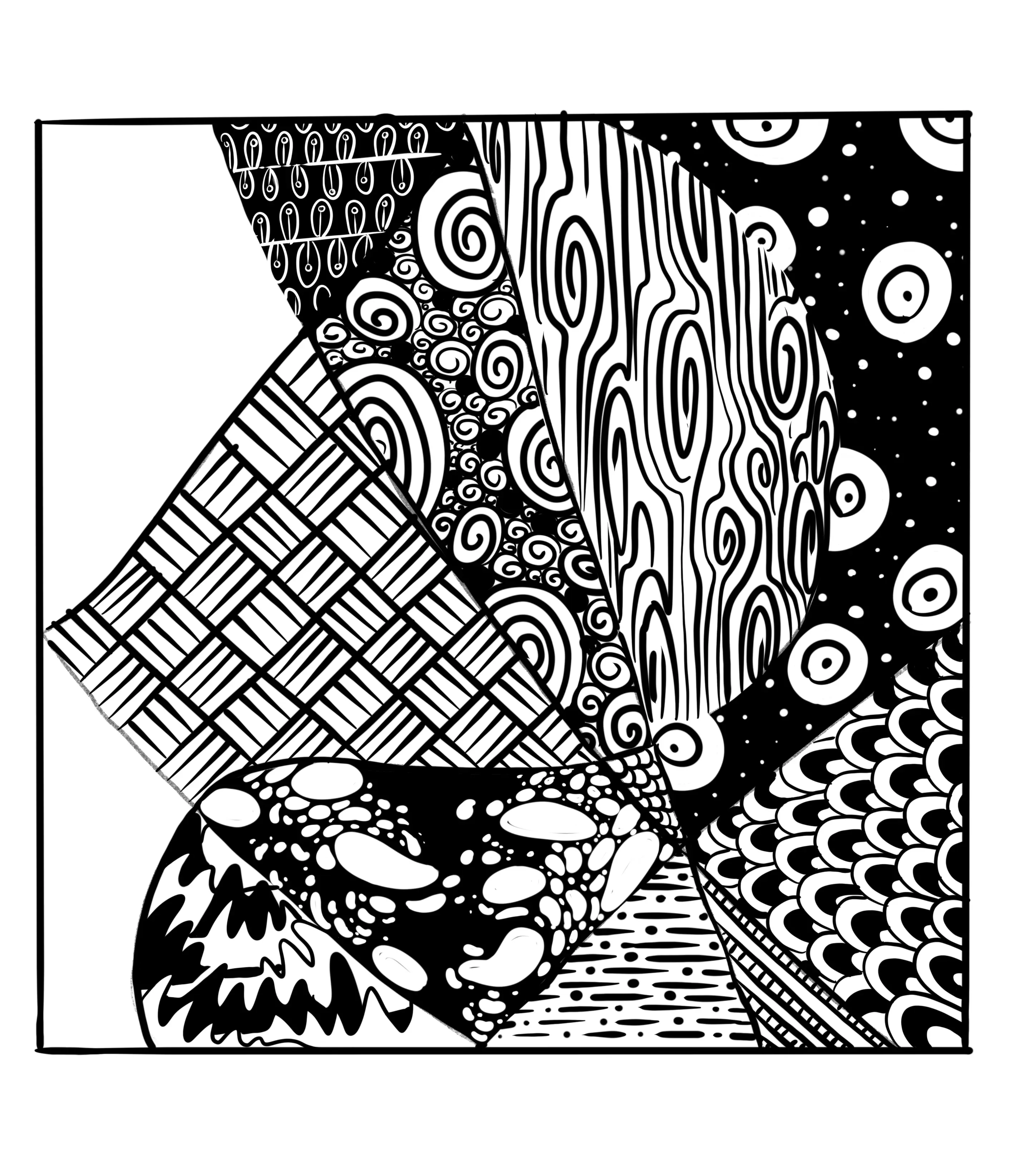 dessiner les courbes du zentangle