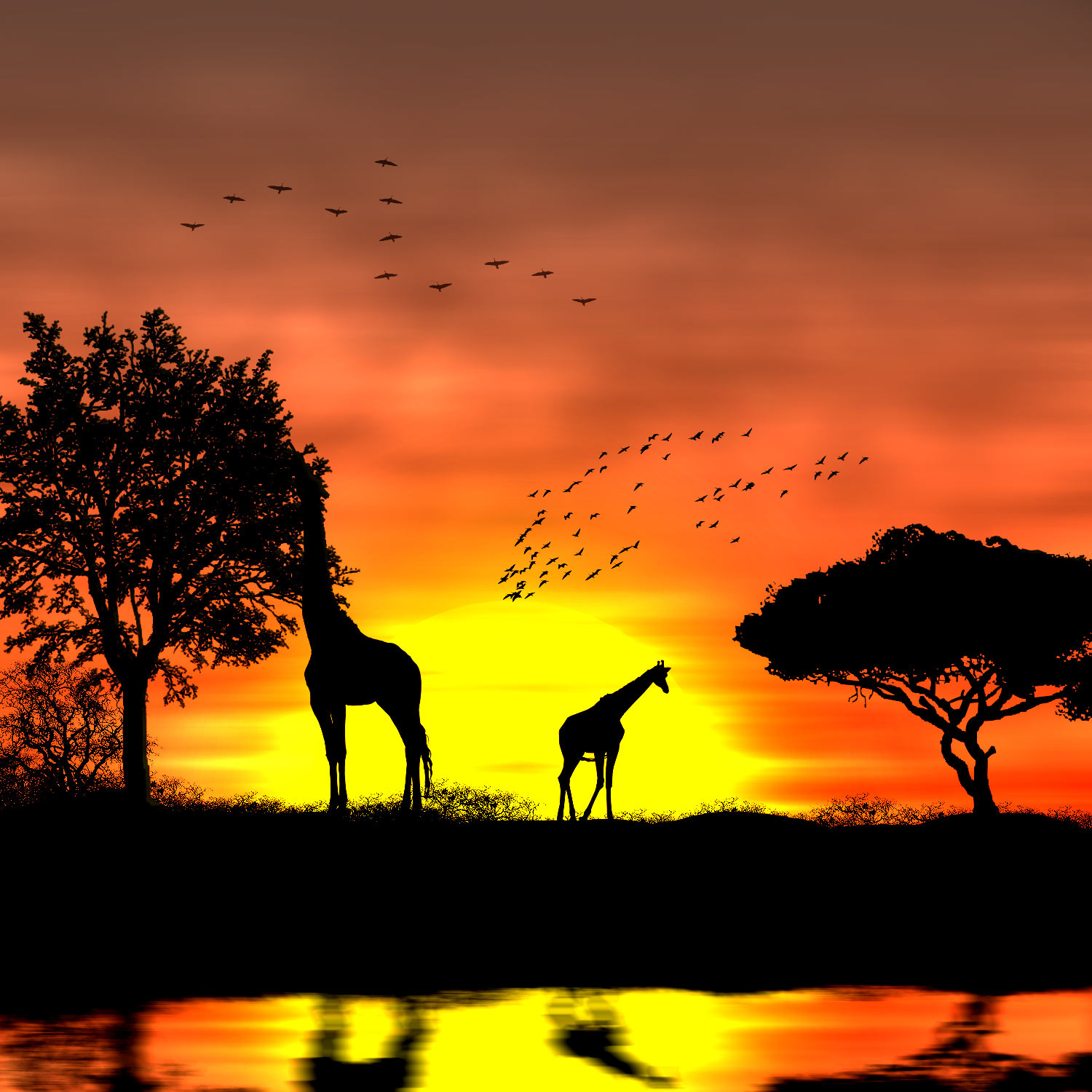 Photo de profil : Plume de gazelle