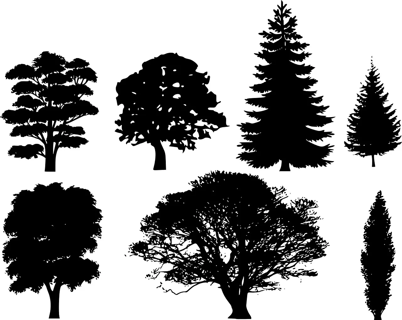 image de référence 2 environnement